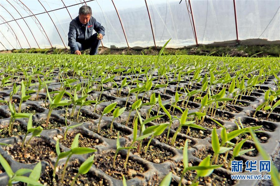 316գԱ½ִũҵ԰ش硣