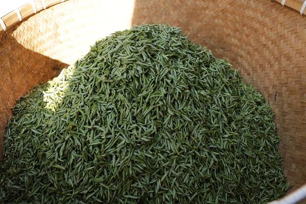 ز԰2ĶҶƷҪȺ֡ţ硢ƽ硢43ײȡǰѿɵǴƷ֡ţ硱Ԥ3ѮҶƷֽȫ濪ɽ׶Ρ