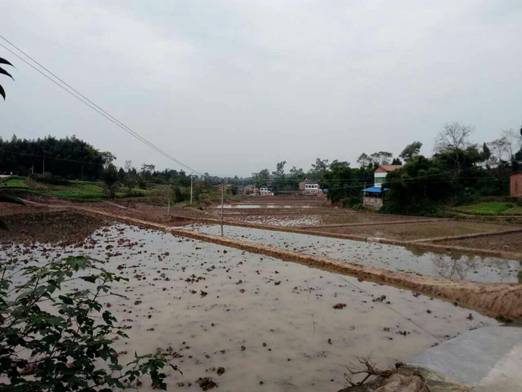 Ĵﴨũҵָ߱׼ũｨʵ֡ź족