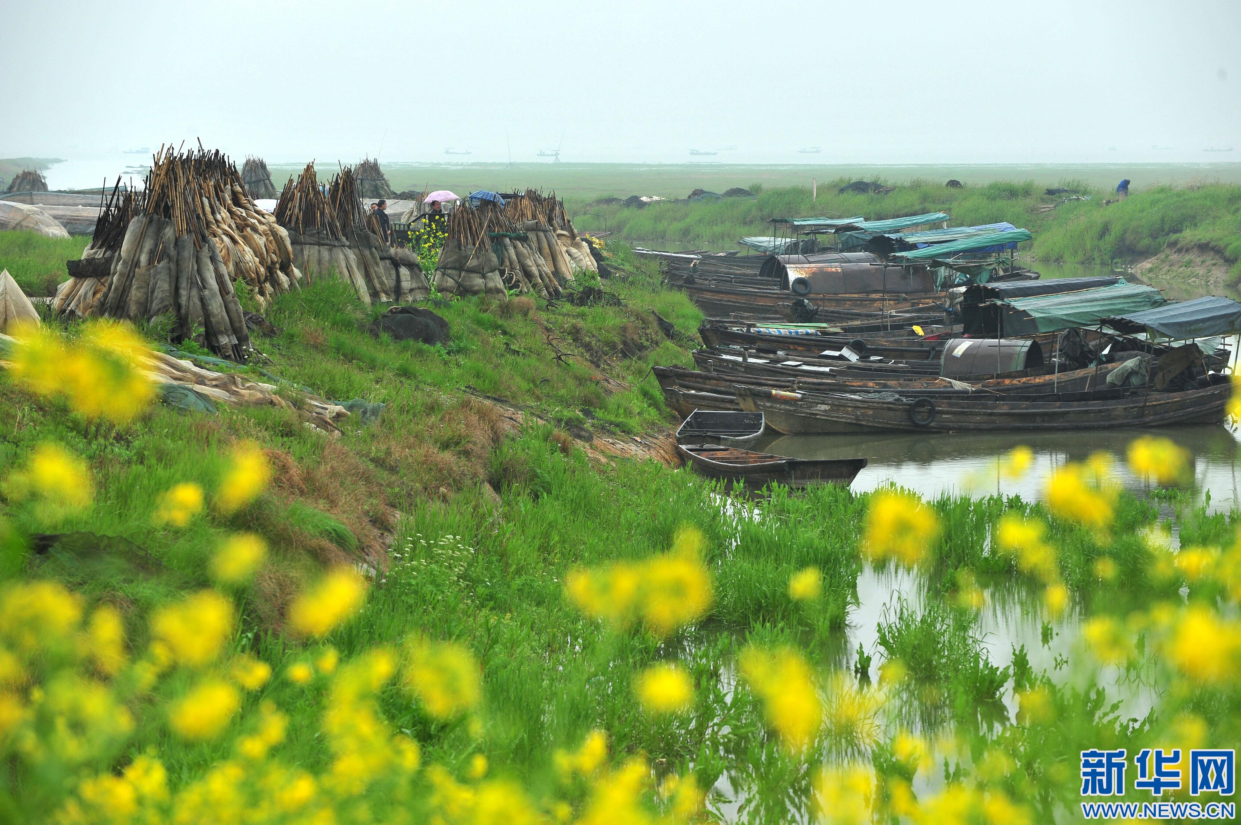 318գ洬ͣϲ½糯嶫лͷ