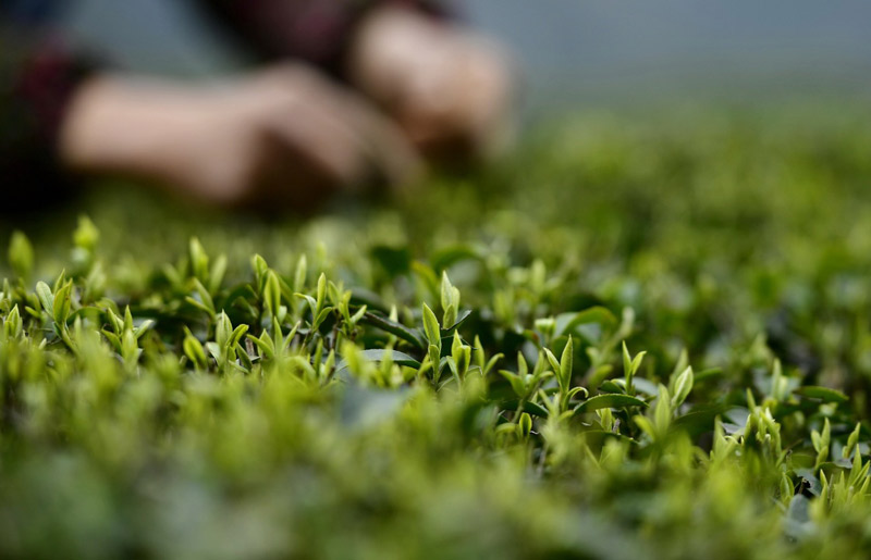 317գũںʡկϪĲ԰ժ衣