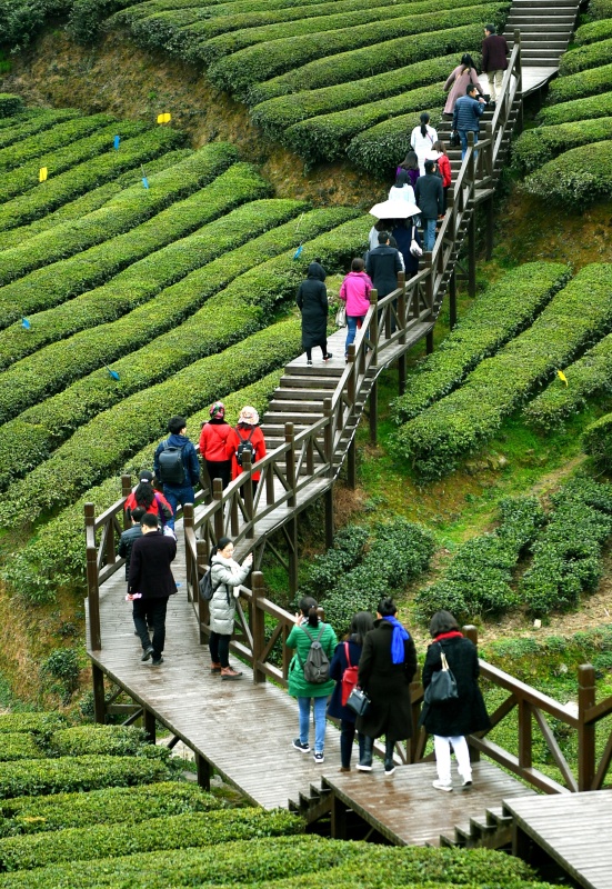 οںʡ̨Ĳ԰棨32㣩