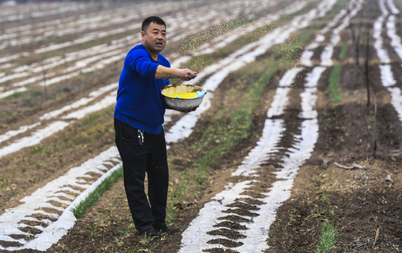 320գӱʡƽرũΪׯʩʡ