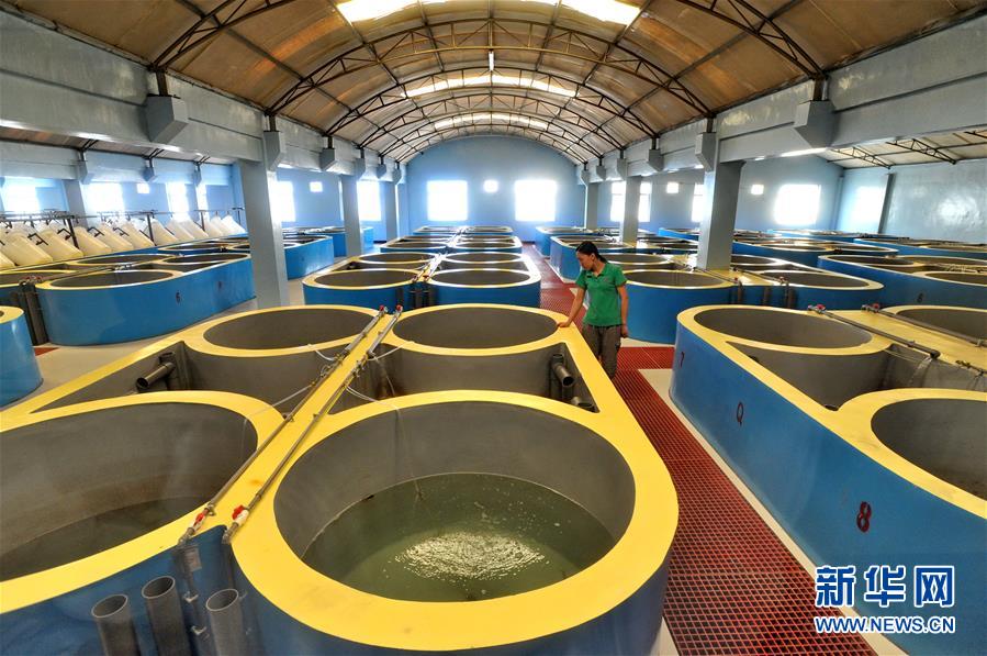 320գԱڻִҵʾ԰ӱκˮ＼޹˾ŴĹ