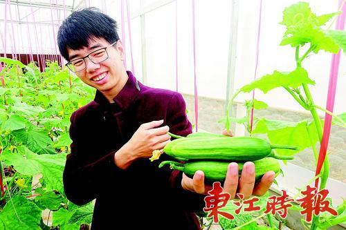 ʯ̲庽ũҵʾشũҵչũա