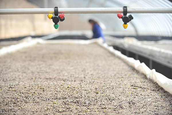 ܫִũҵۺʾ԰չĵι豸316㣩