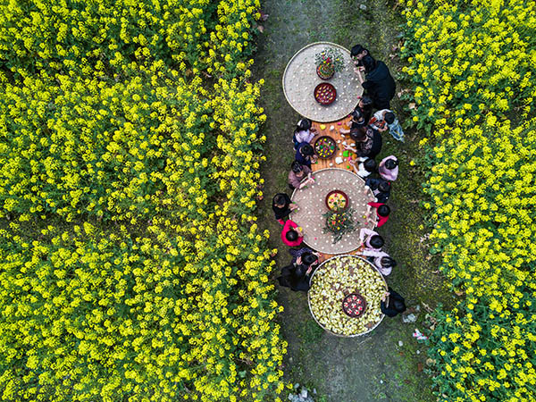 3月21日,塘栖镇卫家埭幼儿园的孩子们在乡村的油菜花地里参加春季民俗体验活动,学做“菜花饼”和米塑。
