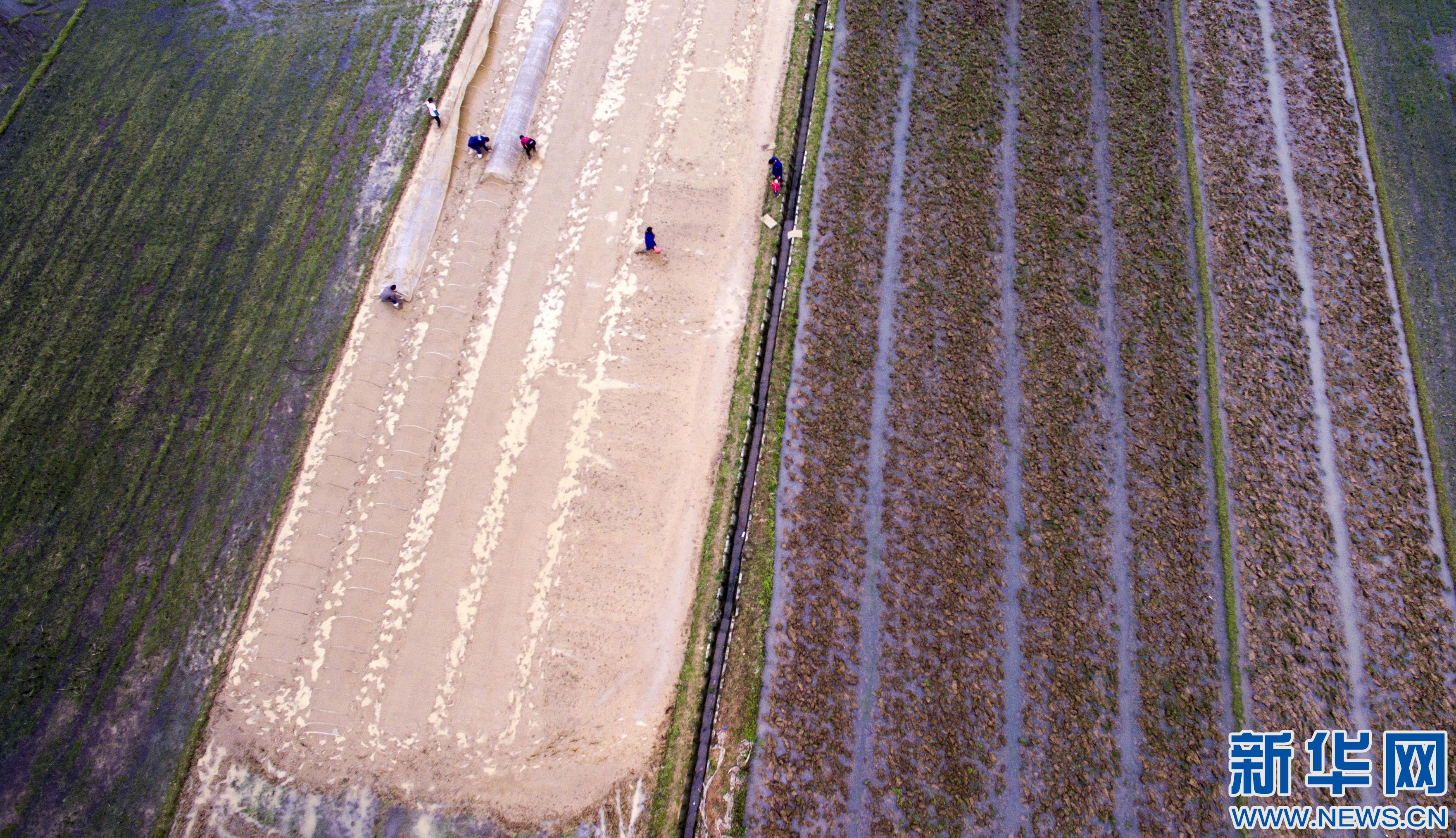 323գڽʡˮˮ򣬴ڽ絾ҵ