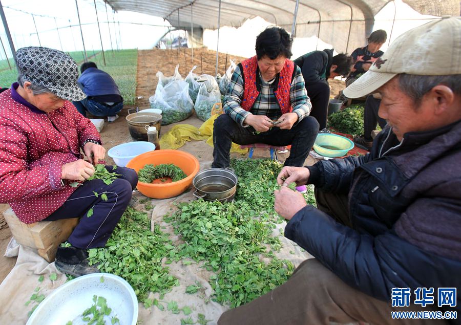 320գϽһջֲػũڽоջ硣