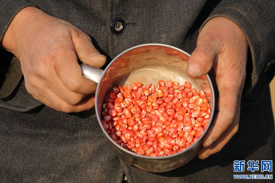 ǺʡȨ򽹶ֵӣ2017321㣩