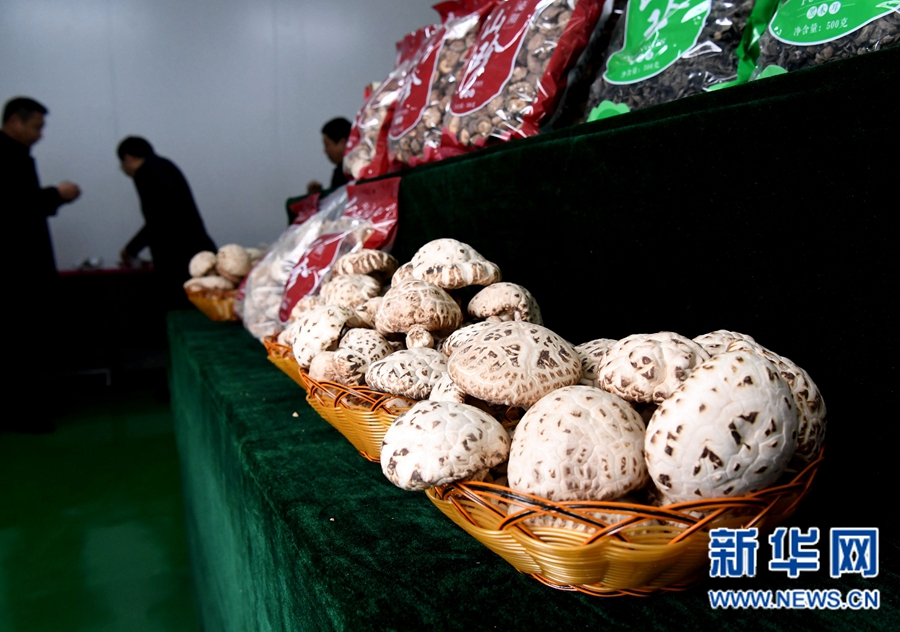 㹽ӹҵ԰Ĳ㹽Ʒ324㣩