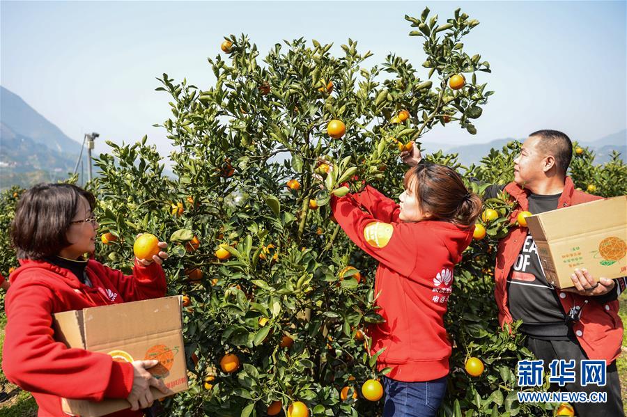 326գοںʡعҰ̵Ʊ԰ժȡ