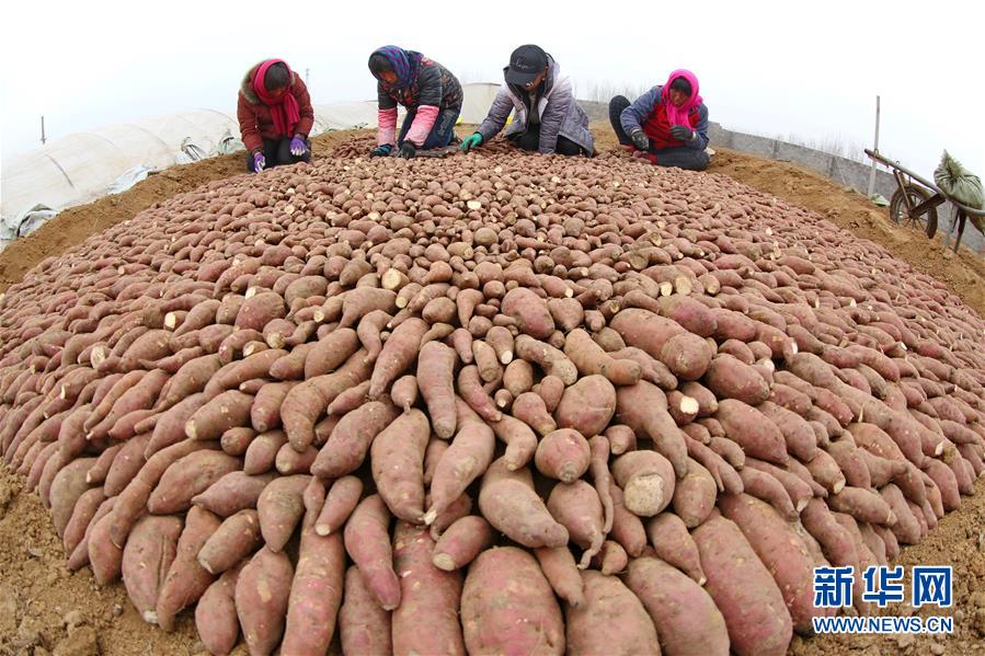 326գ¬ǿֲרҵԱ紲硣