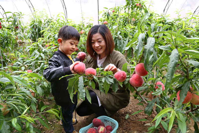 324գźǨСӪ̹Ȳժ԰ժҡ