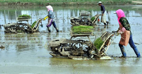 ͭϿдײҵƶũҵЧũ