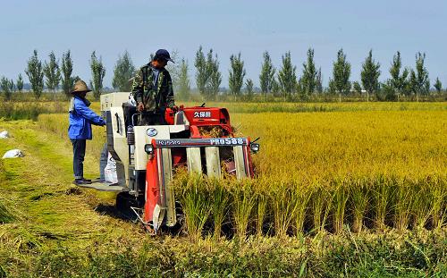 ͭϿС㡱ˮֲصˮո