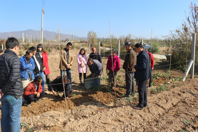 陕西铜川耀州:党旗领航助脱贫 丹参种植兴产业