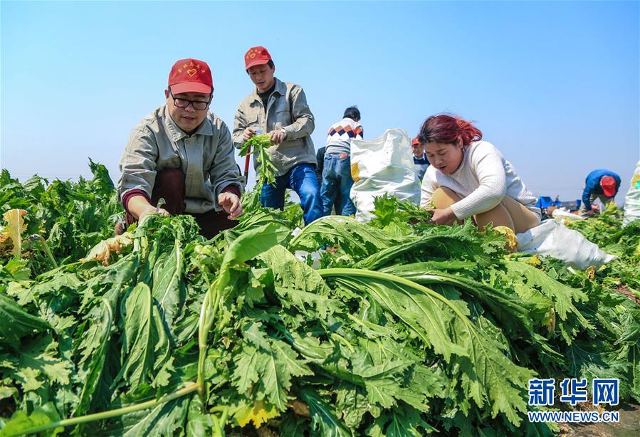 327գС־Ըӵ־Ըũեˡ