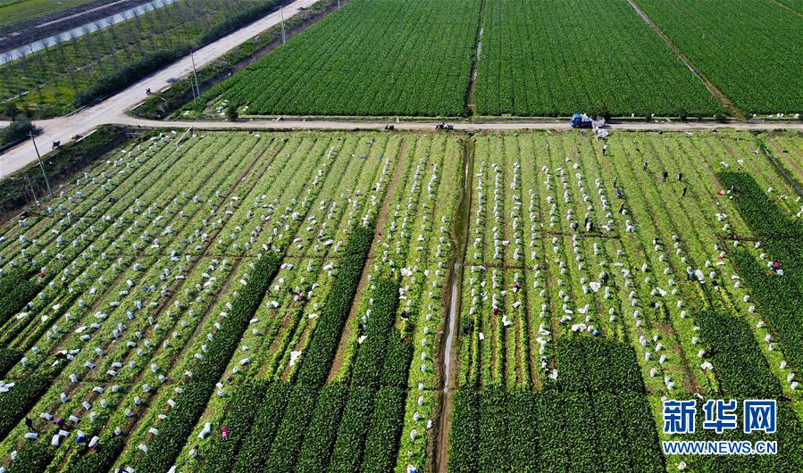 иեֲæµո327㣩