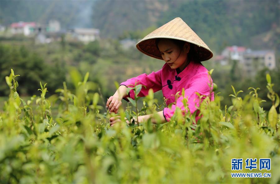 327գũںʡżҽԴЭԴͷ̬԰ժҶ