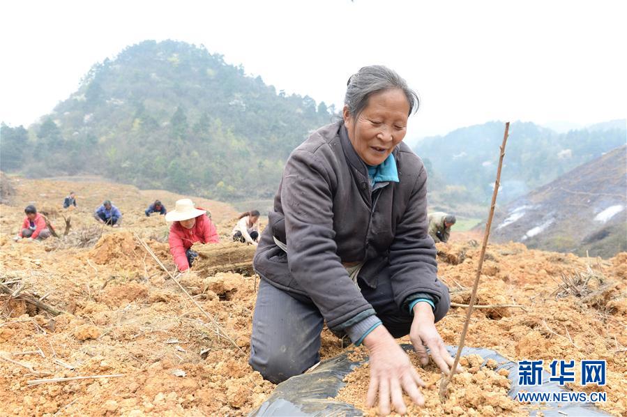 328գڹڵ±±ֲͭأ64ѧִ硣