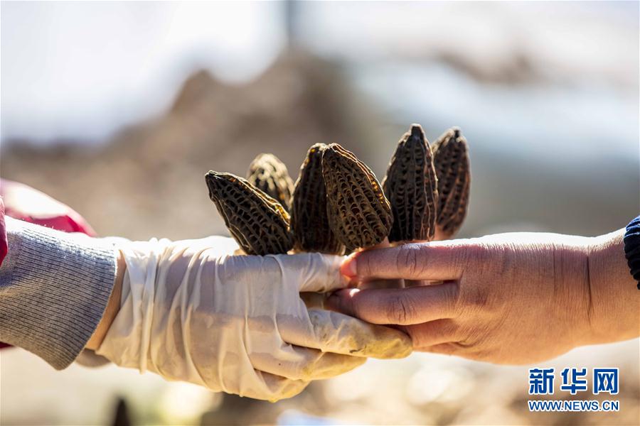 328գɽƽ½ϴһʳþֲأڲժǾ