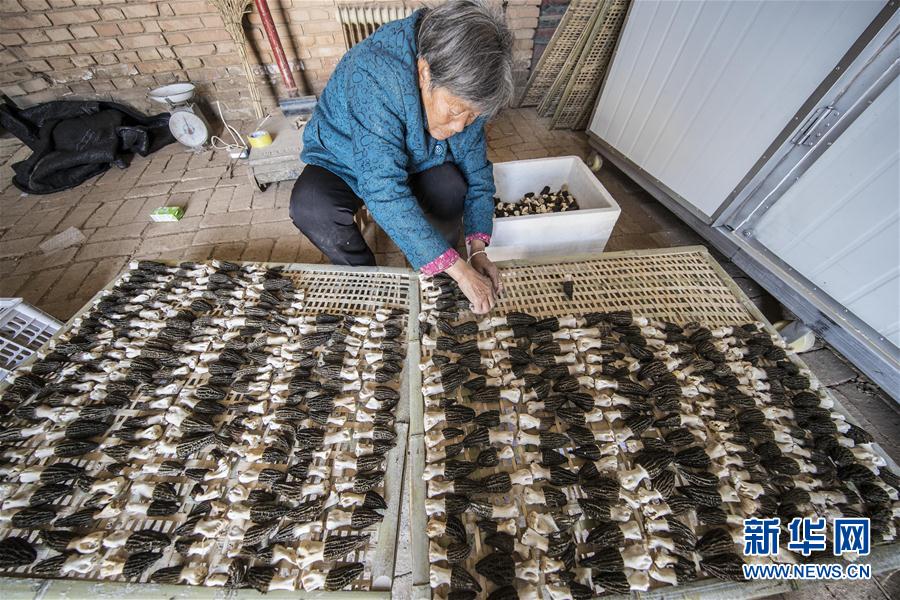 328գɽƽ½ϴ񽫲ժǾڷкɡ