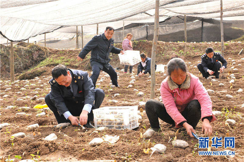 ͼΪ329գפԱ鿴濾Ǿ