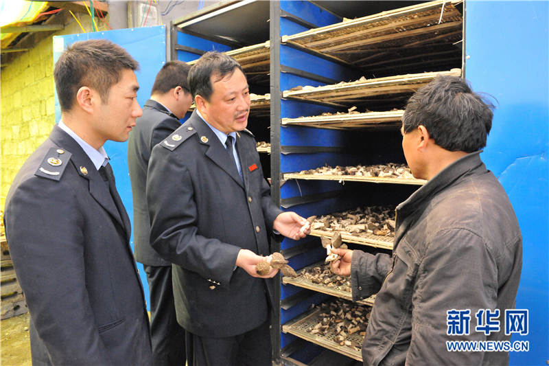 ͼΪ329գפԱ鿴濾Ǿ