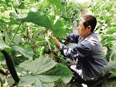 ɹźͺر߲˹Ӧʴﵽ70%