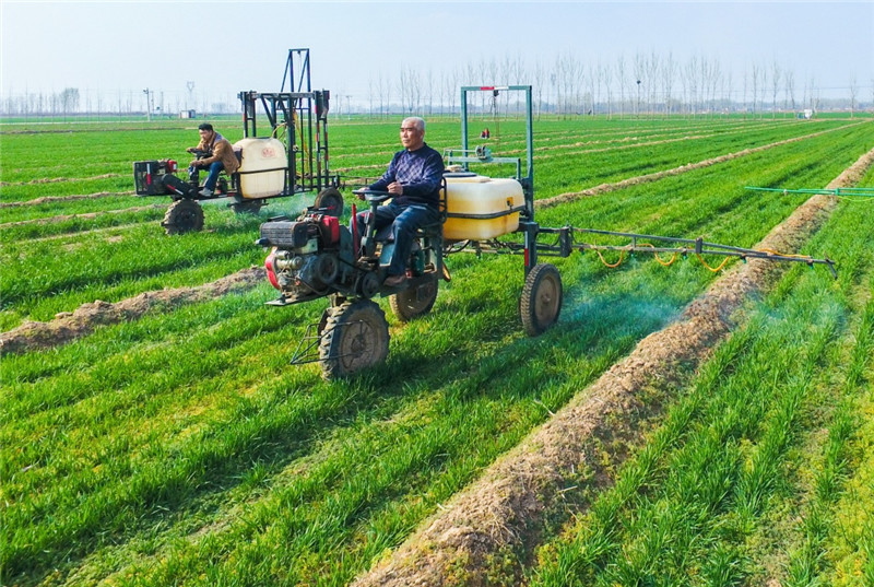 330գغϾô֯ũûеũҩ