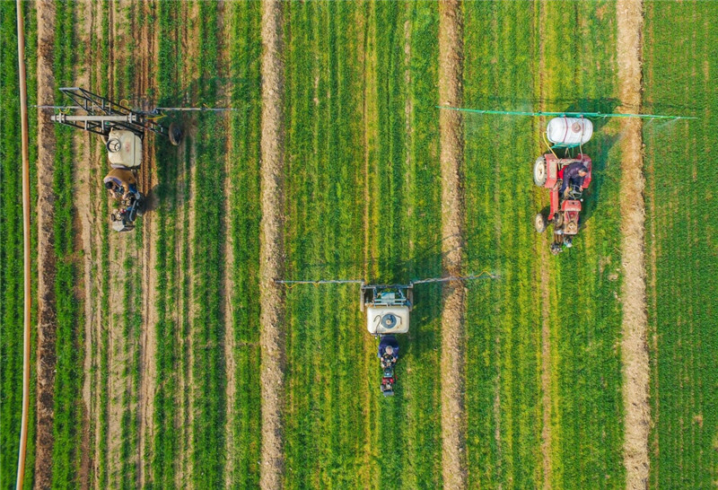 330գغϾô֯ũûеũҩ