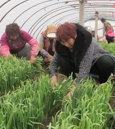 ½ŵڰʦһ԰紺ͷ²˿ʼ