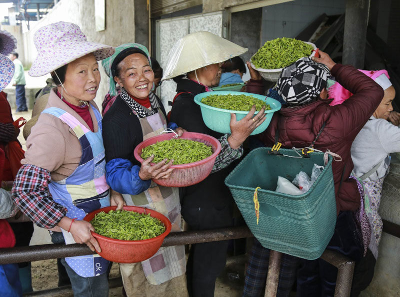 330գڹʡ˳˳԰Ŷӳءǰ衱Ҷ