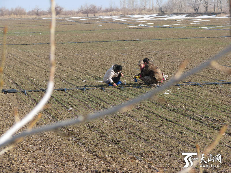 ½ŵʮʦһ˶11000ĶС뷵