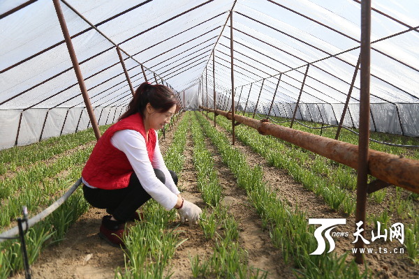 ½ŵڰʦһž²Ʈ¸·