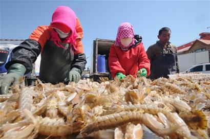 ɽൺᵺ5000Ϻϰ ۸С