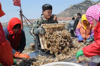 ɽൺᵺ5000Ϻϰ ۸С