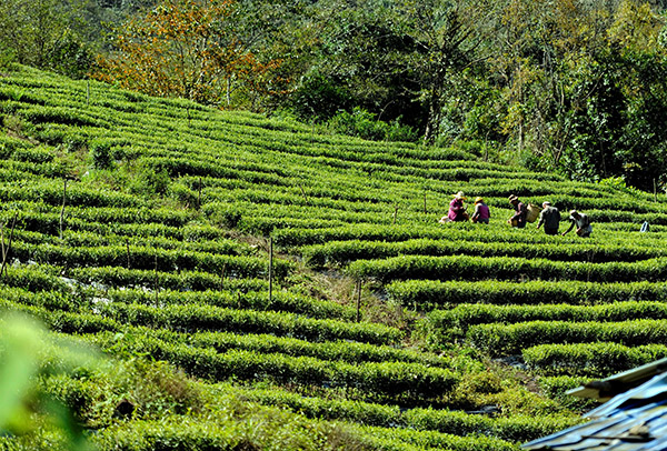 331գīر米ũڲɲ衣