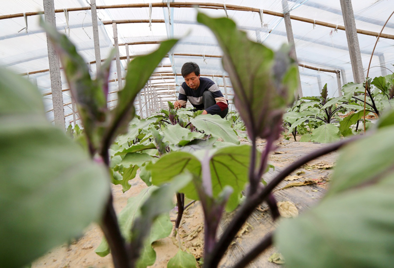 43գӱʡºϷٴũҵԱڴ