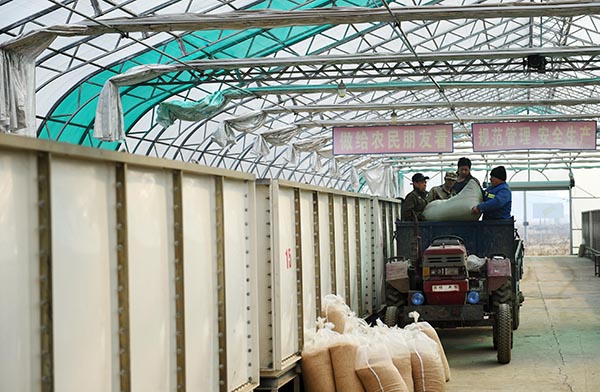 329գɽкƽܻѿصĴѿ䣬׼Ѹˮװ䡣