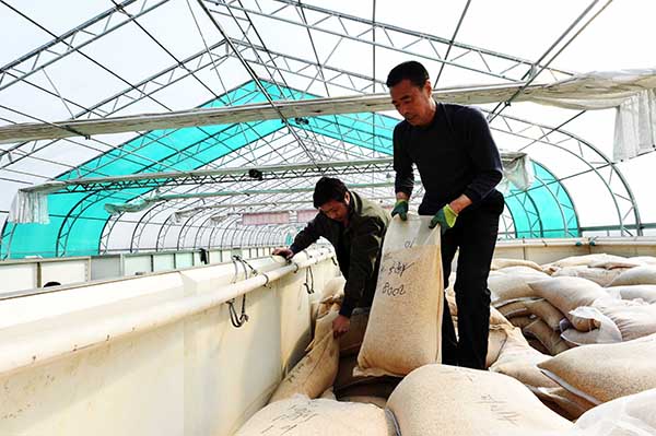 329գɽкƽܻѿصĴѿ䣬װˮӡ