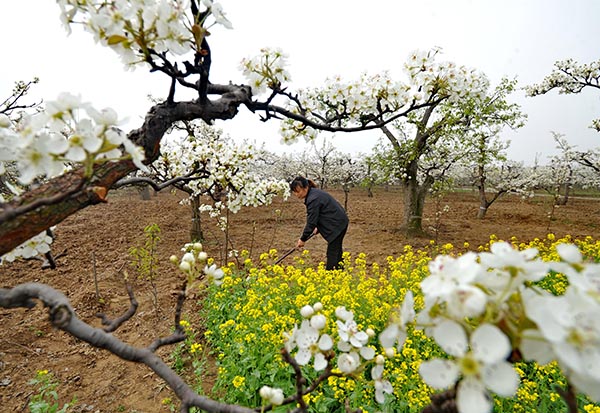 46գũںӱʡׯ԰ڳݡ