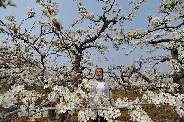 46գũںӱʡׯ԰滨ڷۡ