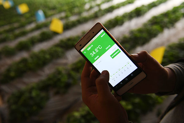 46գԱչʾֻAPP߹ʵʱ¶ȡ