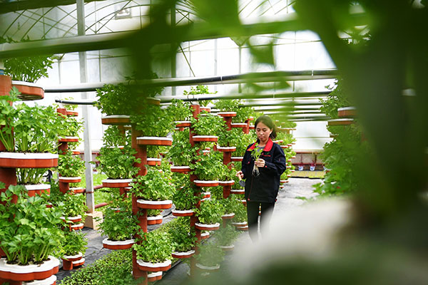 46գһλԱǳ翵Դִũҵʾ԰ũҵ߹