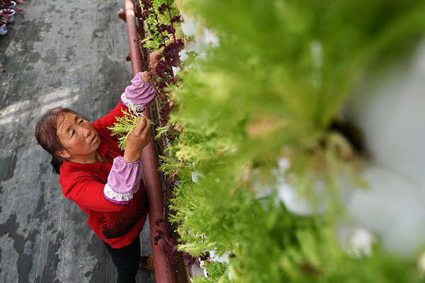 46գһλũǳ翵Դִũҵʾ԰ڶ̨߲˽гҵ