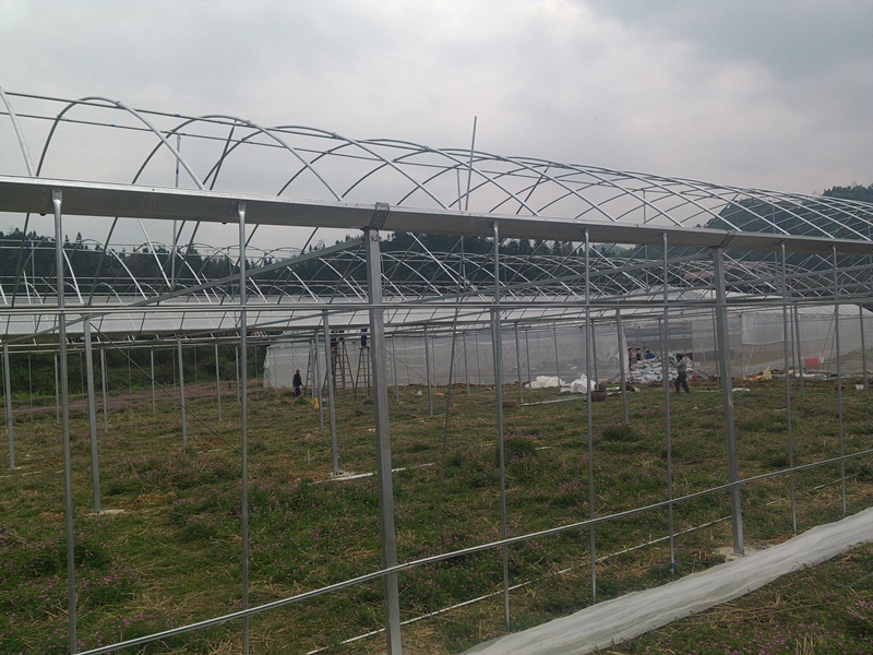 湖南辰溪县稳步推进再生稻全程机械化生产