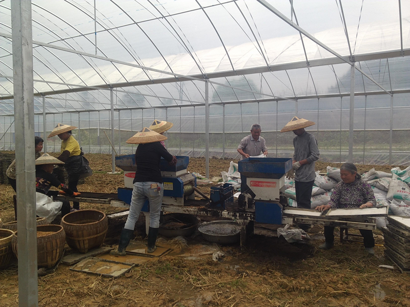 湖南辰溪县稳步推进再生稻全程机械化生产