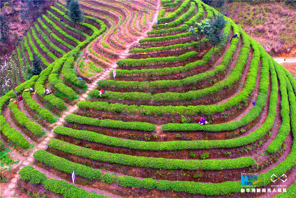 ˻ĲũڹʤдŬ԰ժ衣